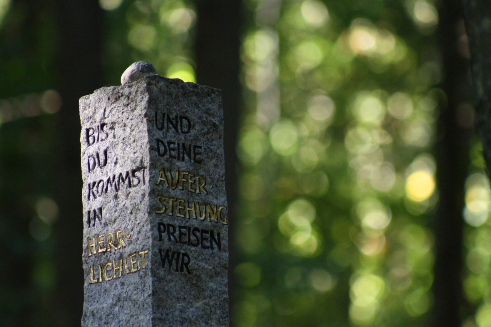 Trauerstele am Petersberg