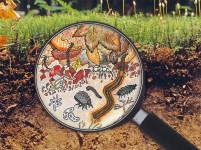 Bodenprofil mit Lupe, welche das Bodenleben zeigt